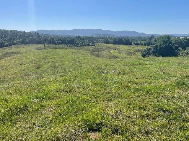 SILKWOOD For Sale by Farmbuy.com - image 39