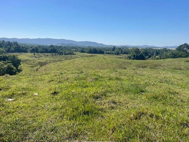 SILKWOOD For Sale by Farmbuy.com - image 21