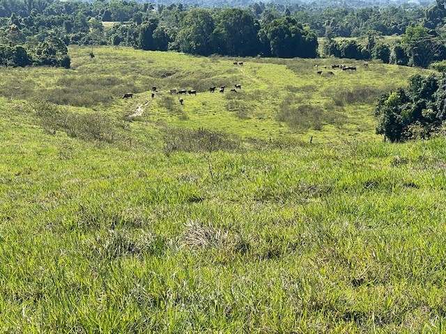 SILKWOOD For Sale by Farmbuy.com - image 17