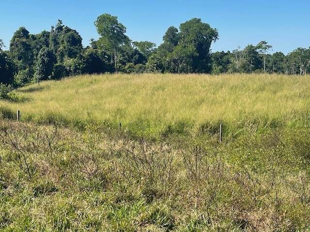 SILKWOOD For Sale by Farmbuy.com - image 25