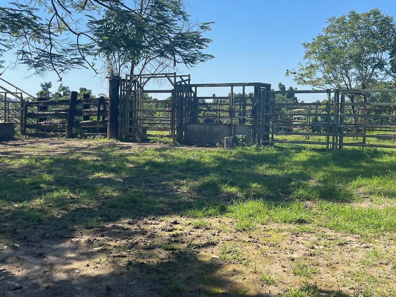 SILKWOOD For Sale by Farmbuy.com - image 4