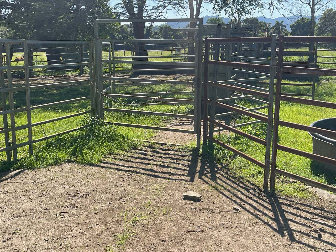 SILKWOOD For Sale by Farmbuy.com - image 5