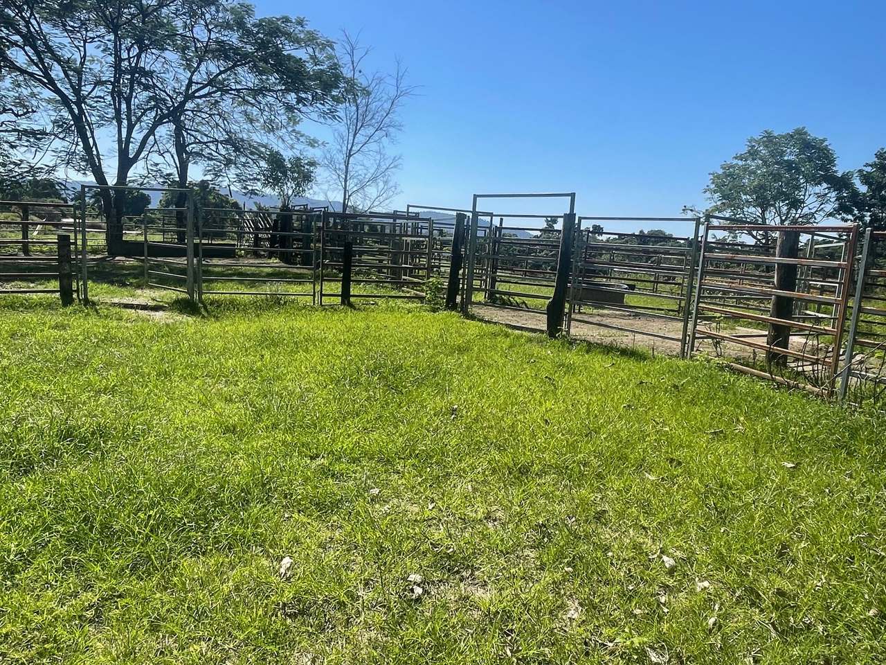 SILKWOOD For Sale by Farmbuy.com - image 7