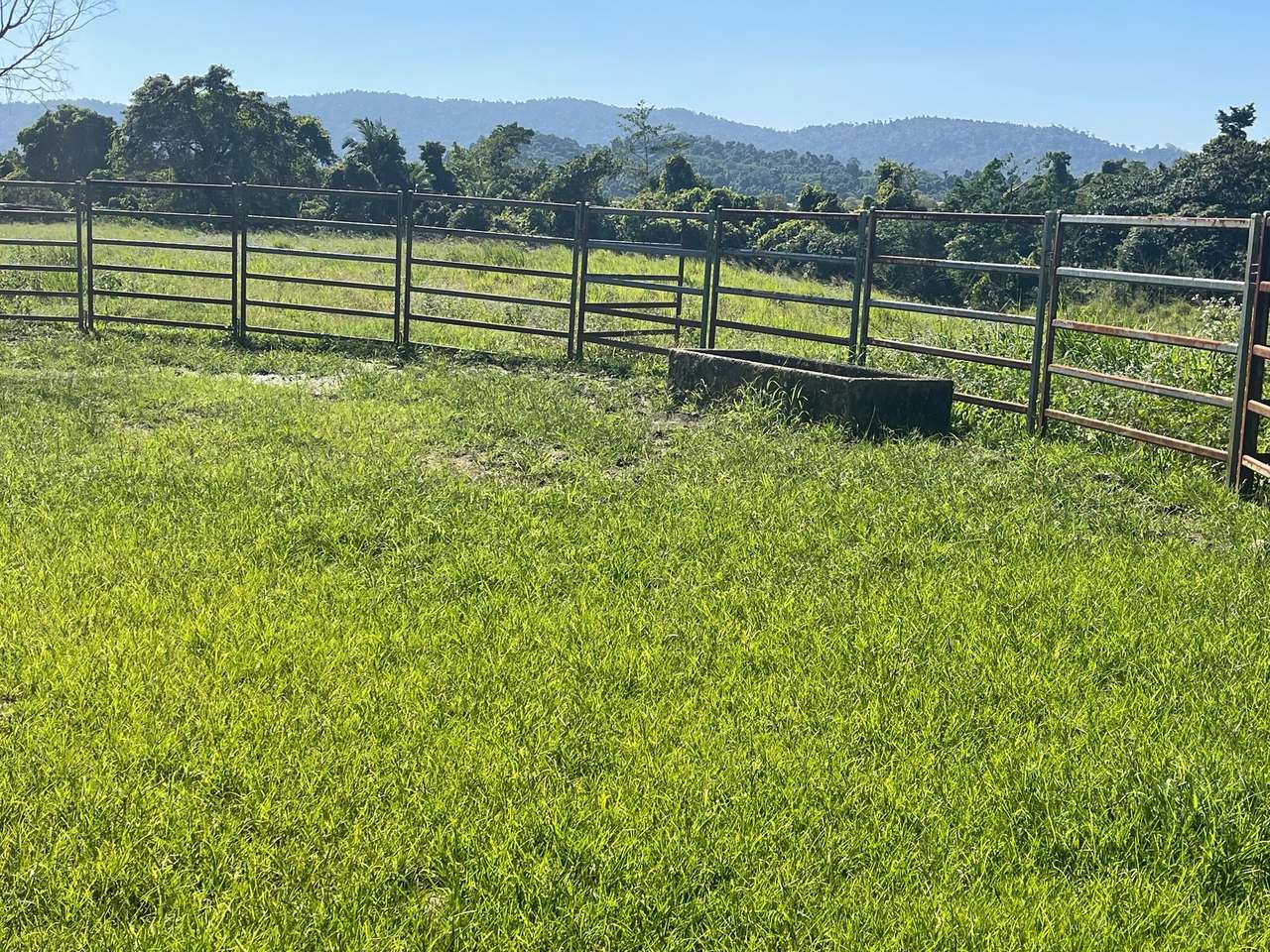 SILKWOOD For Sale by Farmbuy.com - image 6