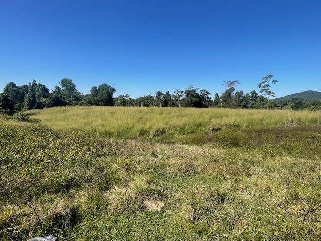 SILKWOOD For Sale by Farmbuy.com - image 26