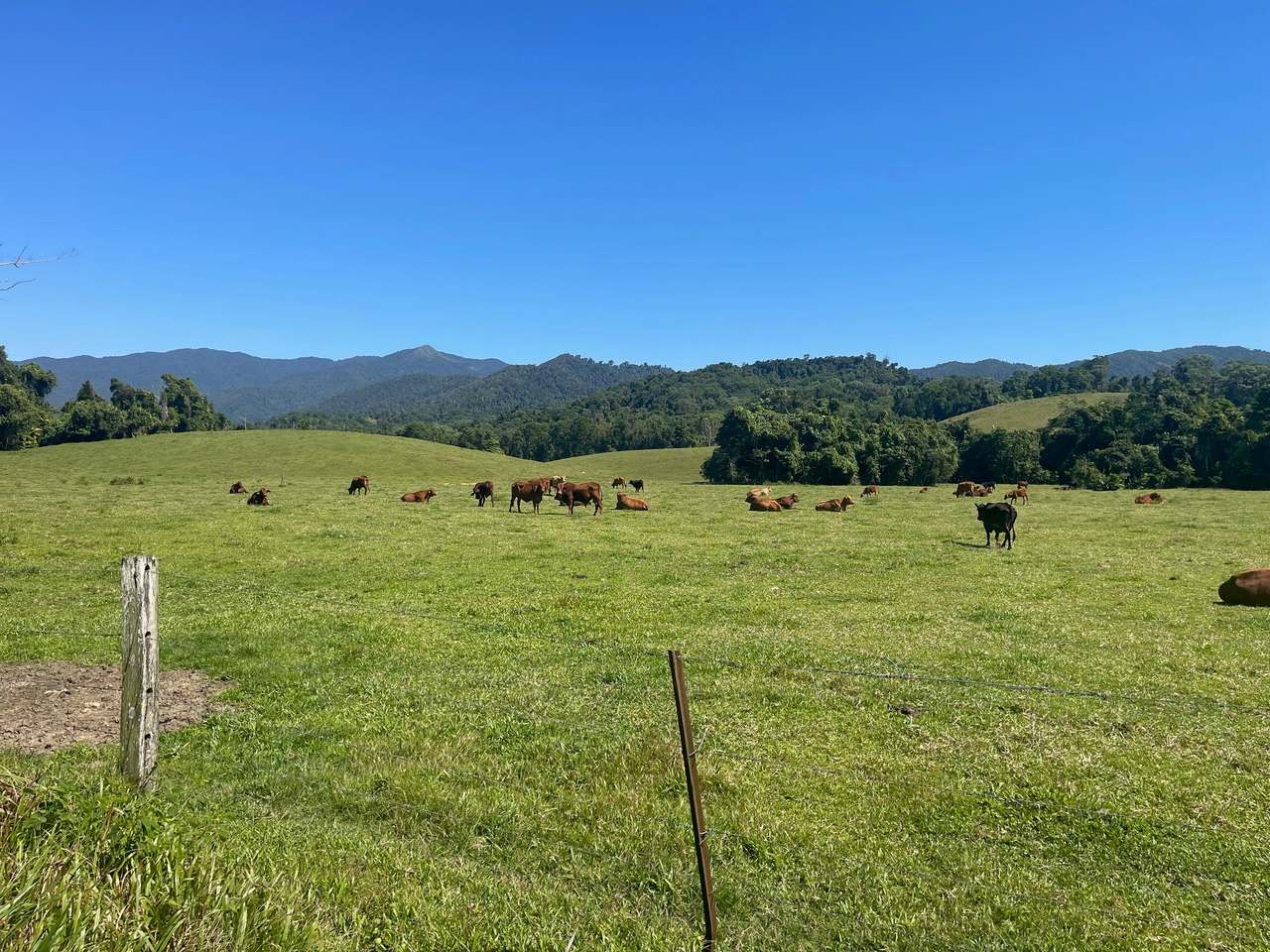 SILKWOOD For Sale by Farmbuy.com - image 3