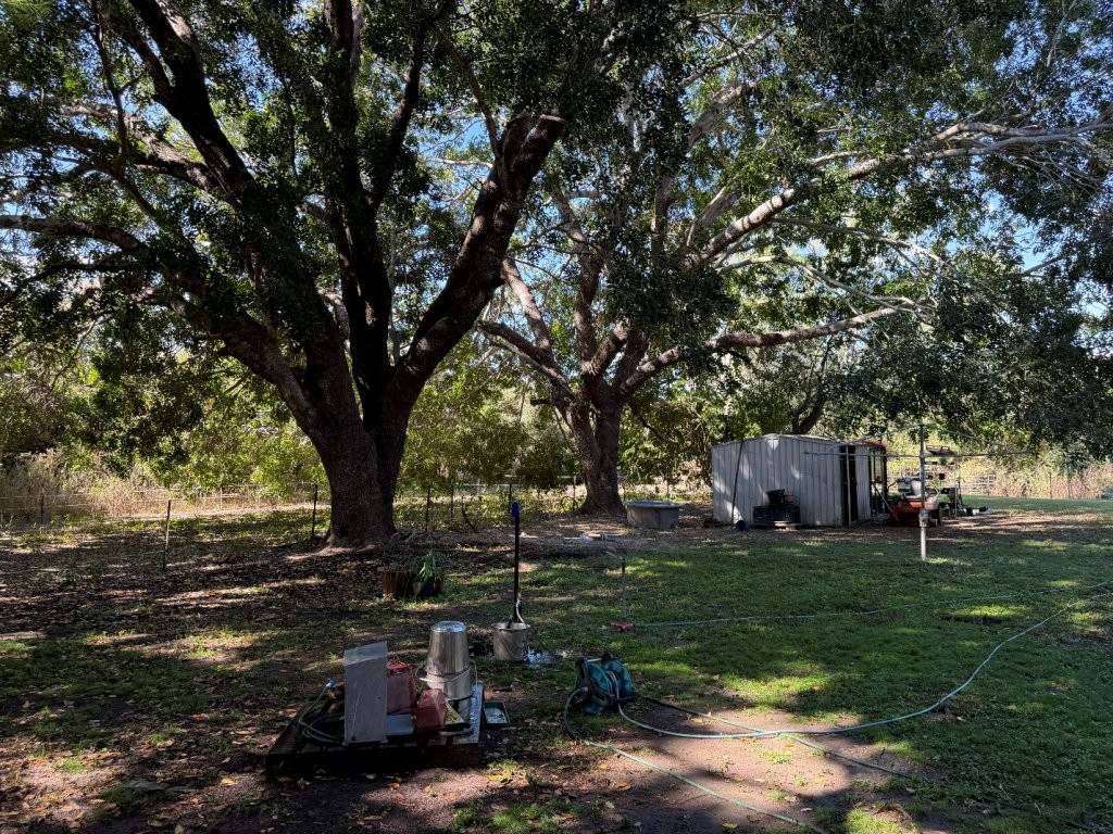 244 Jones Road, Woodstock For Sale by Farmbuy.com - image 10