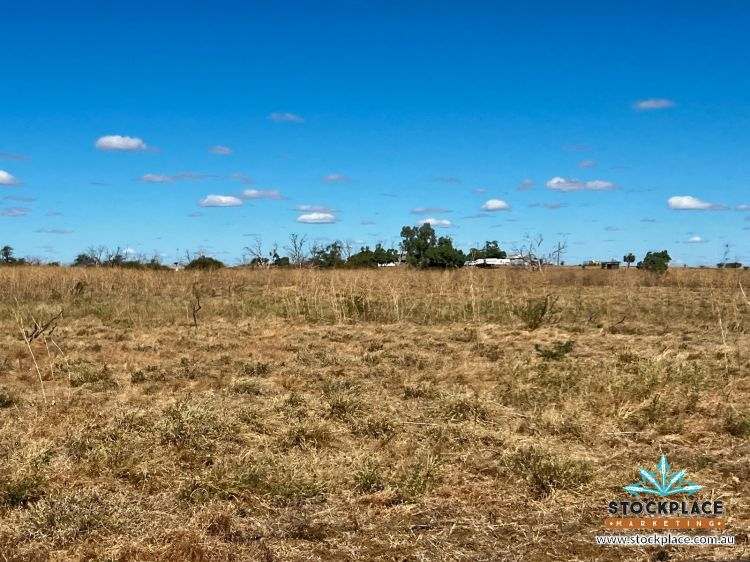'Hilltop Station', Richmond For Sale by Farmbuy.com - image 15
