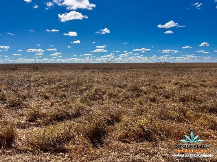 'Hilltop Station', Richmond For Sale by Farmbuy.com - image 4