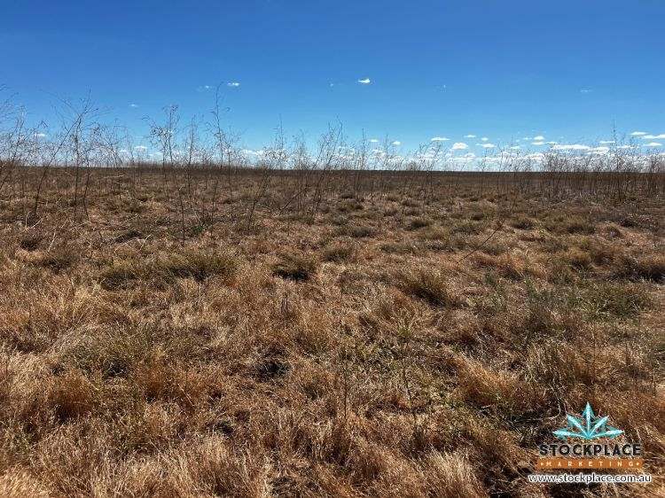 'Hilltop Station', Richmond For Sale by Farmbuy.com - image 12