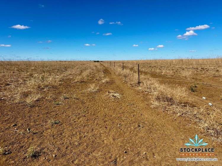 'Hilltop Station', Richmond For Sale by Farmbuy.com - image 14