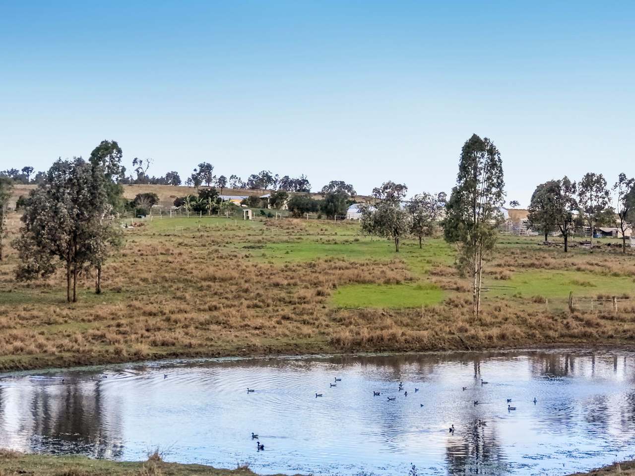 5 Old Warwick Road, Peak Crossing For Sale by Farmbuy.com - image 2