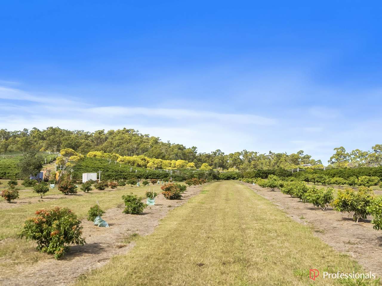250 Newby Road, Bondoola For Sale by Farmbuy.com - image 45