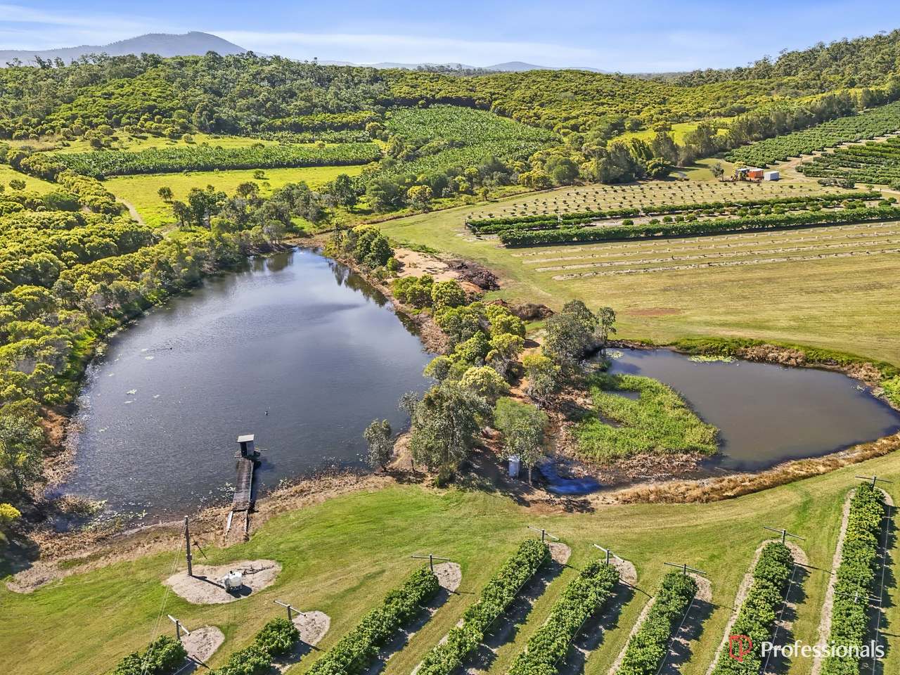 250 Newby Road, Bondoola For Sale by Farmbuy.com - image 3