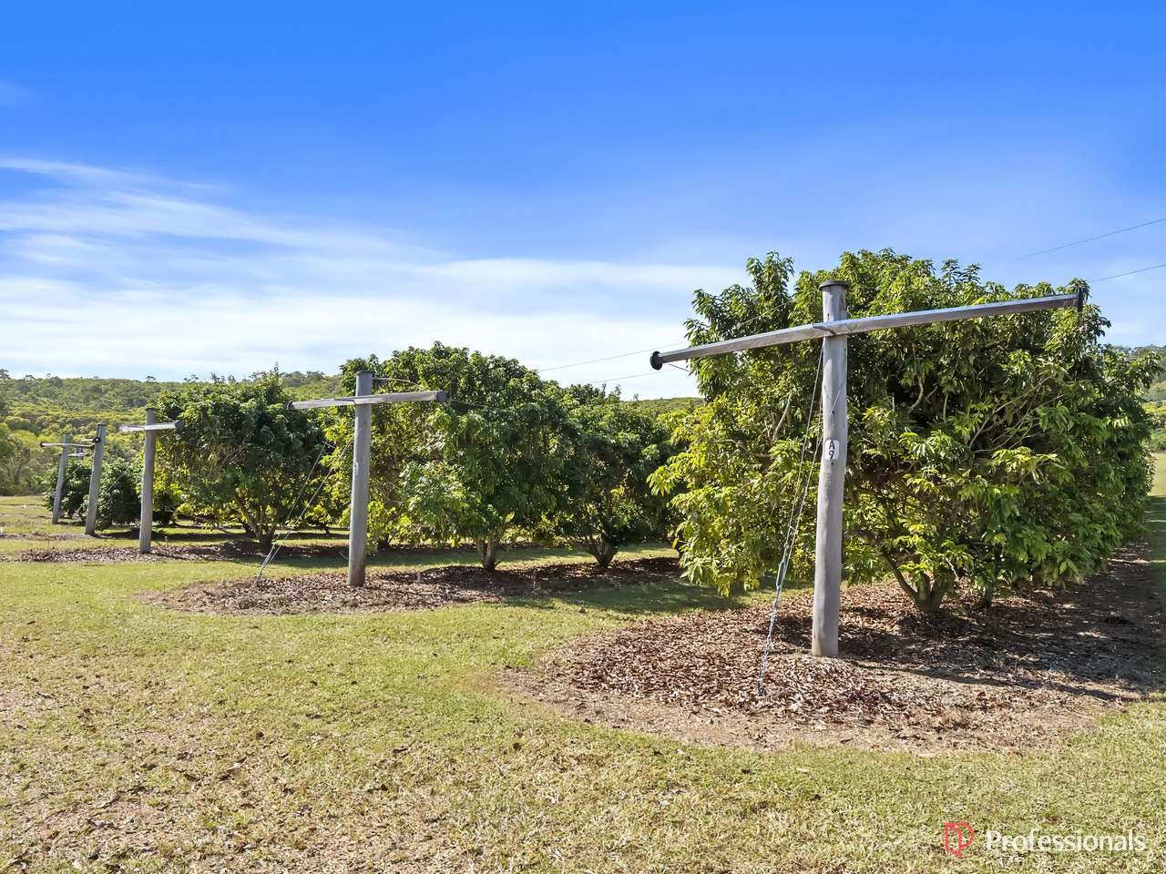 250 Newby Road, Bondoola For Sale by Farmbuy.com - image 40