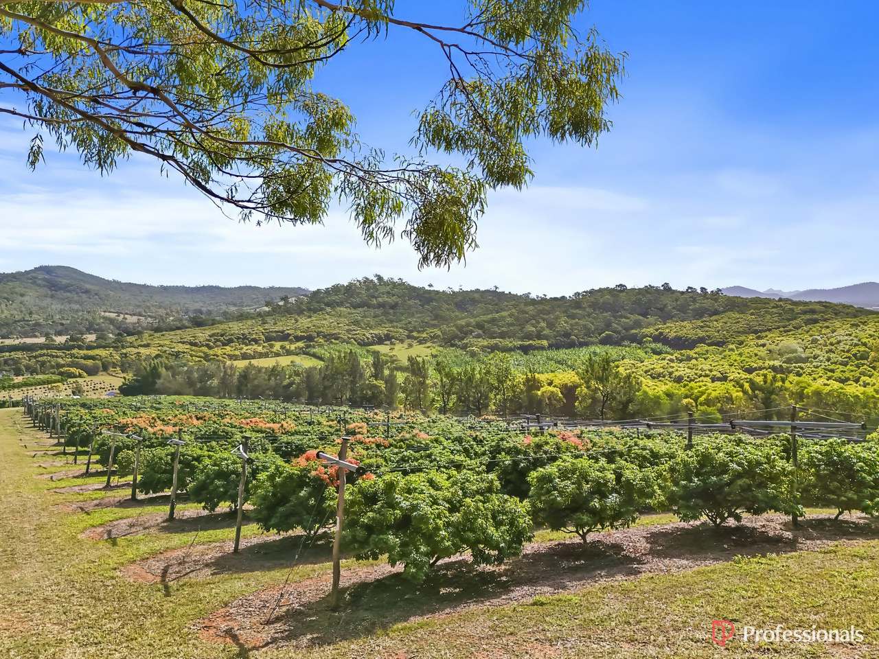 250 Newby Road, Bondoola For Sale by Farmbuy.com - image 28