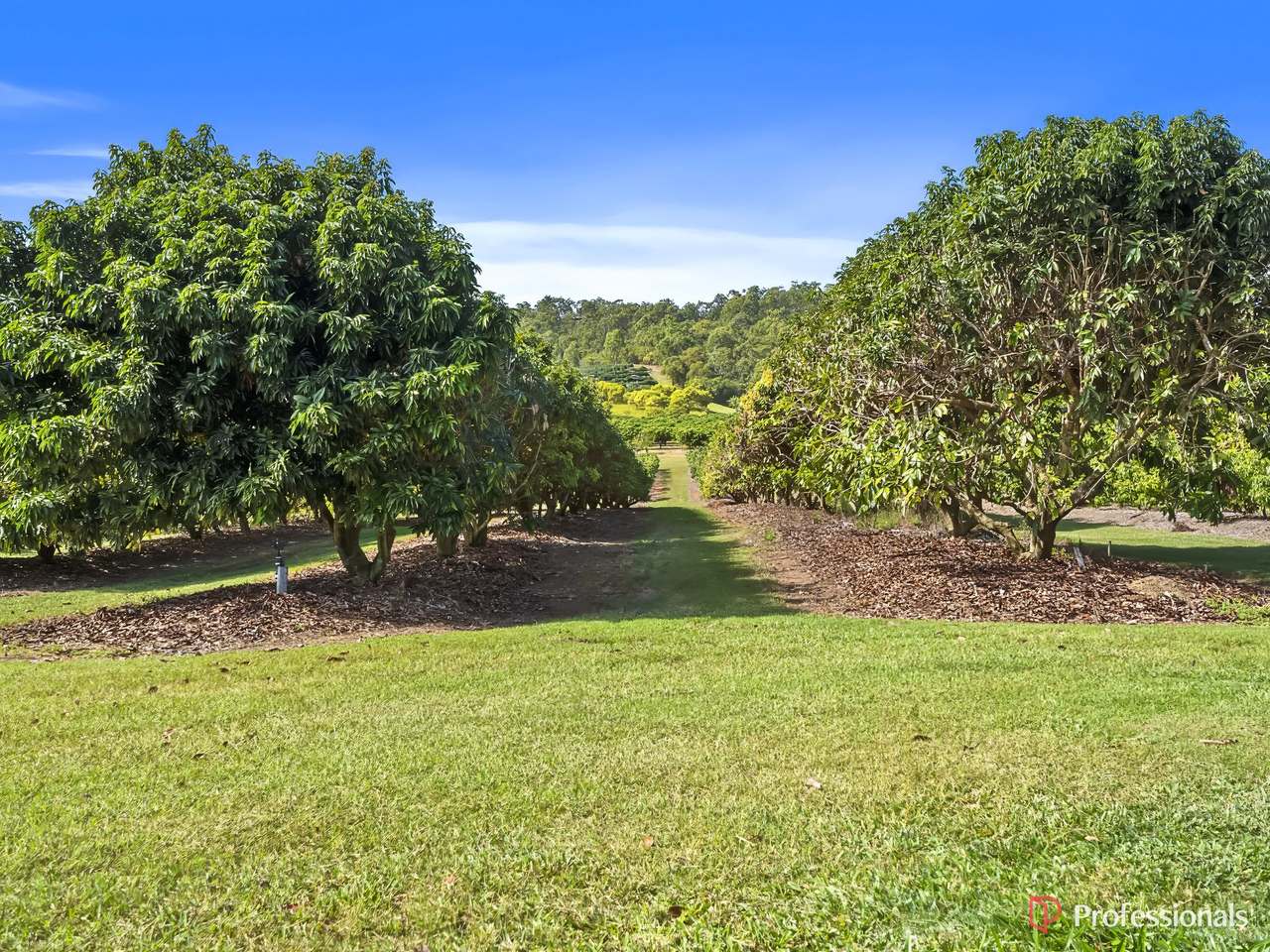 250 Newby Road, Bondoola For Sale by Farmbuy.com - image 43