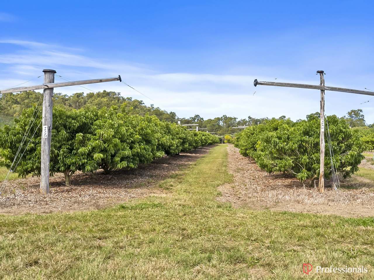 250 Newby Road, Bondoola For Sale by Farmbuy.com - image 42