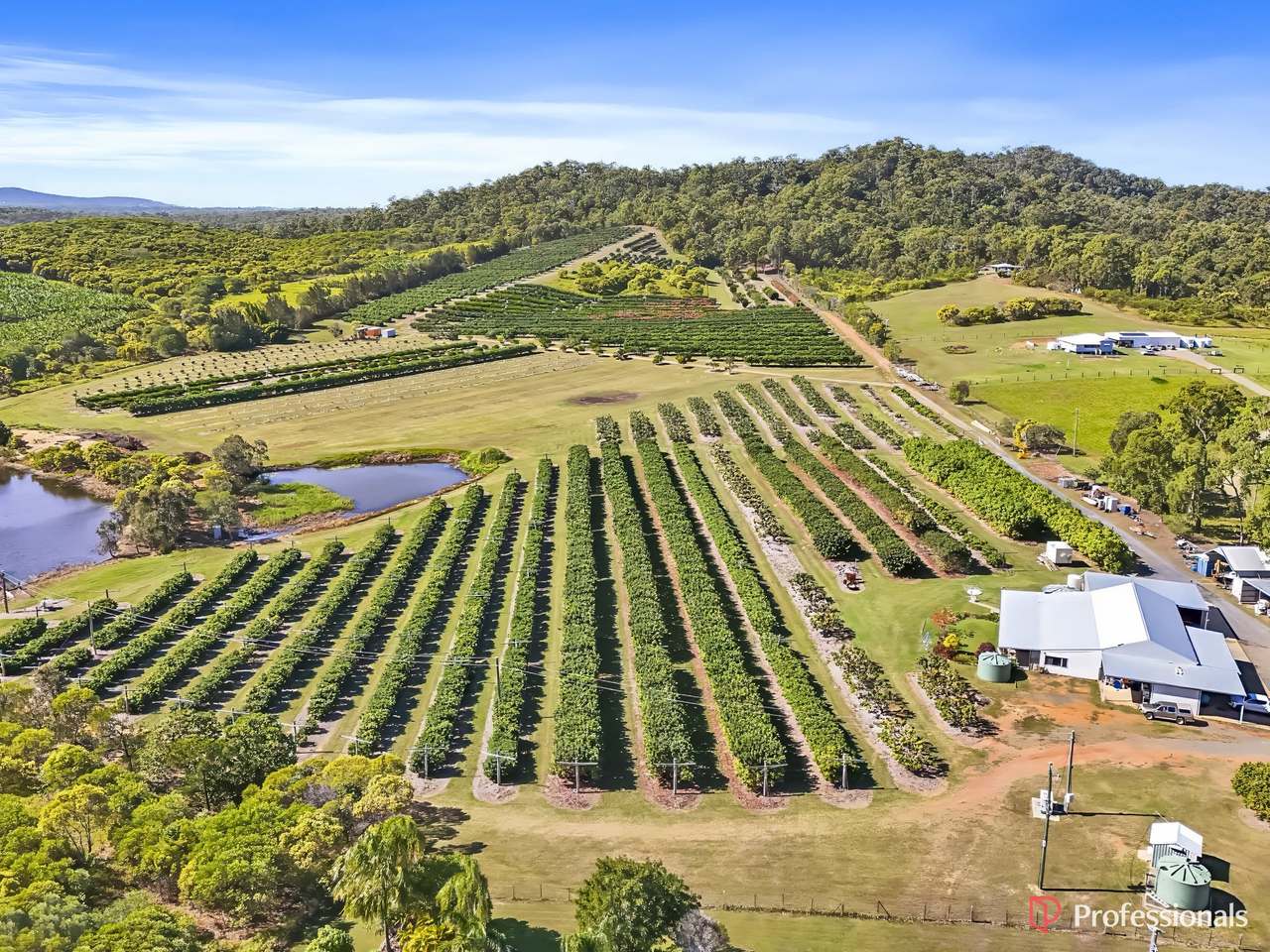250 Newby Road, Bondoola For Sale by Farmbuy.com - image 2