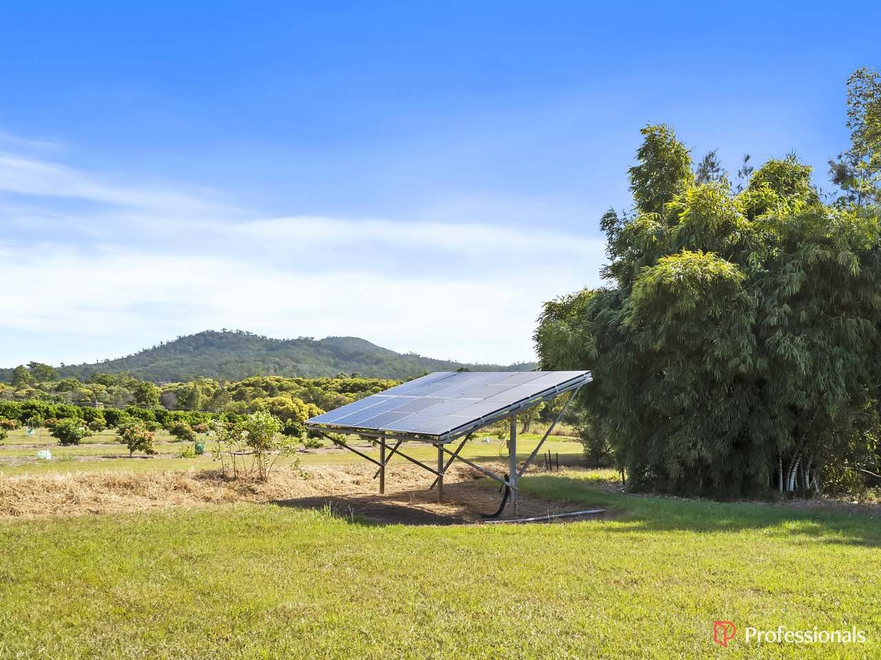 250 Newby Road, Bondoola For Sale by Farmbuy.com - image 32