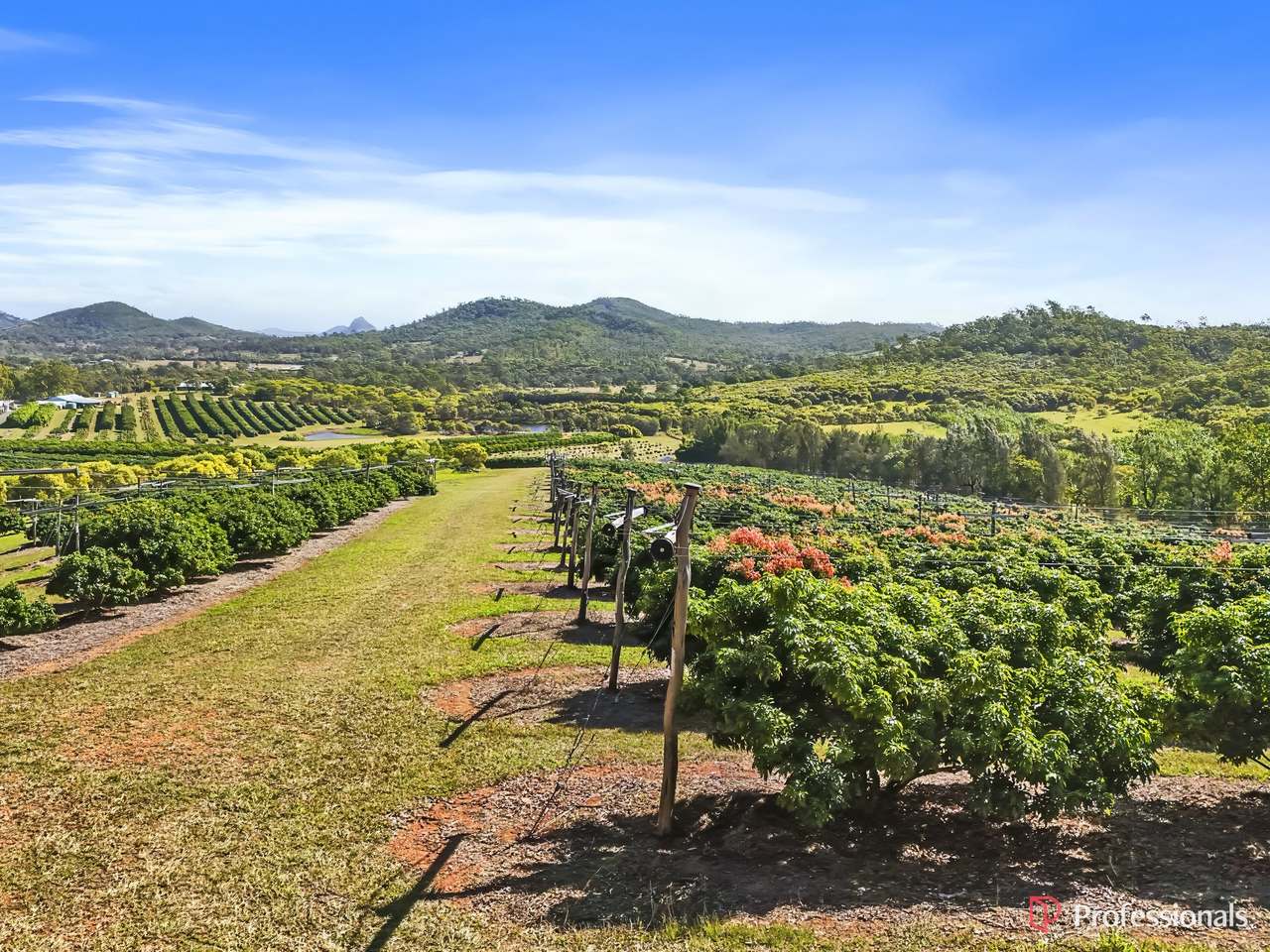250 Newby Road, Bondoola For Sale by Farmbuy.com - image 39