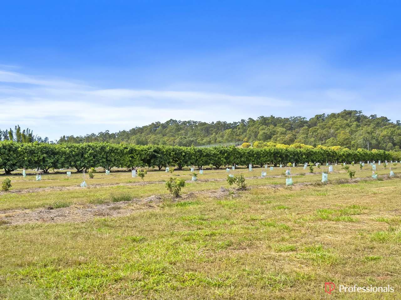 250 Newby Road, Bondoola For Sale by Farmbuy.com - image 44