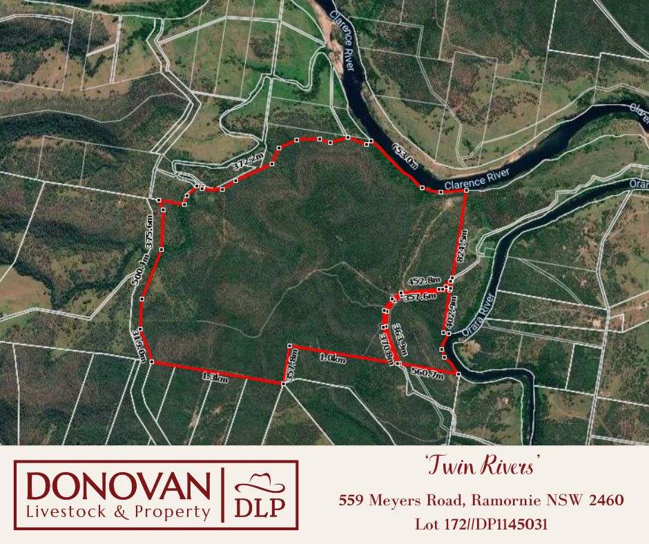 559 Meyers Road, Ramornie  For Sale by Farmbuy.com - image 32