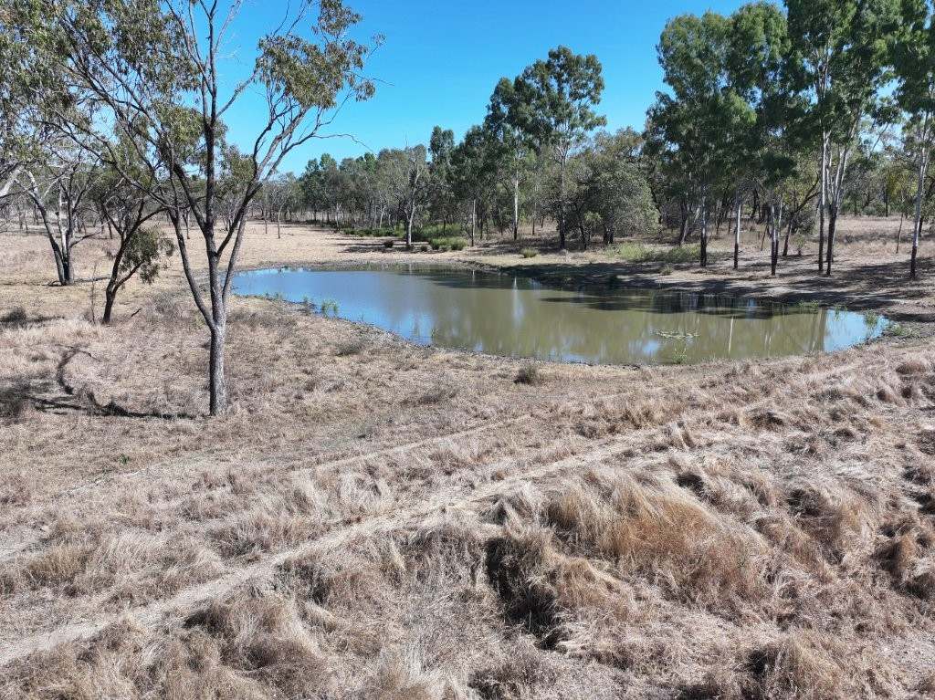 37963 Gregory Development Road, Breddan For Sale by Farmbuy.com - image 3