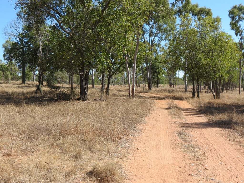 37963 Gregory Development Road, Breddan For Sale by Farmbuy.com - image 10