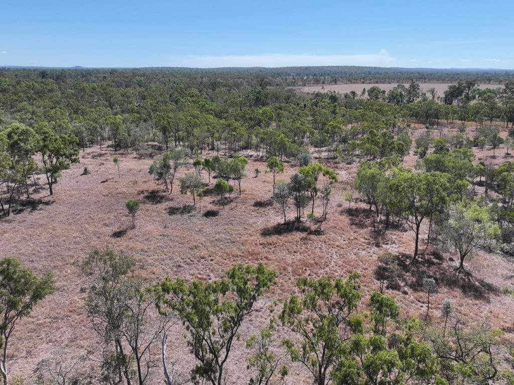 37963 Gregory Development Road, Breddan For Sale by Farmbuy.com - image 7
