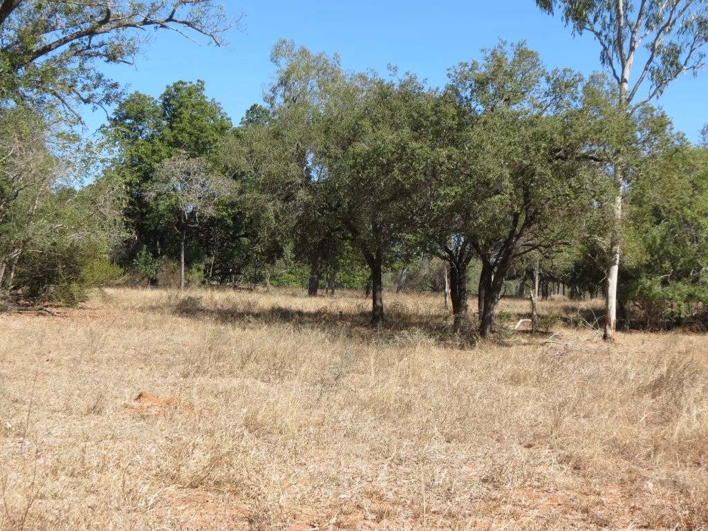 37963 Gregory Development Road, Breddan For Sale by Farmbuy.com - image 11
