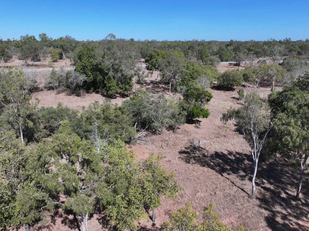 37963 Gregory Development Road, Breddan For Sale by Farmbuy.com - image 6