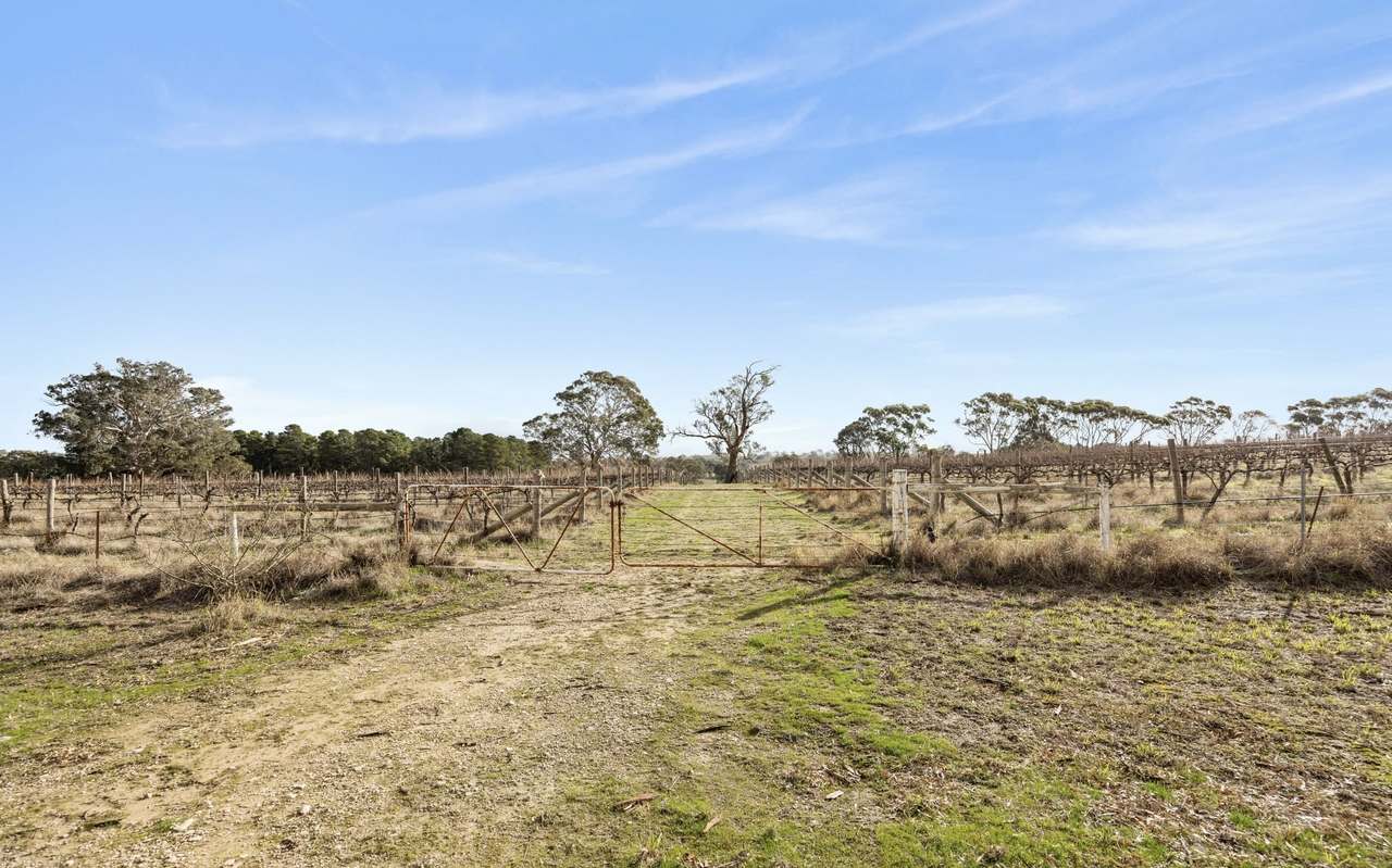 Lot 3 Keyneton Road, Eden Valley For Sale by Farmbuy.com - image 34