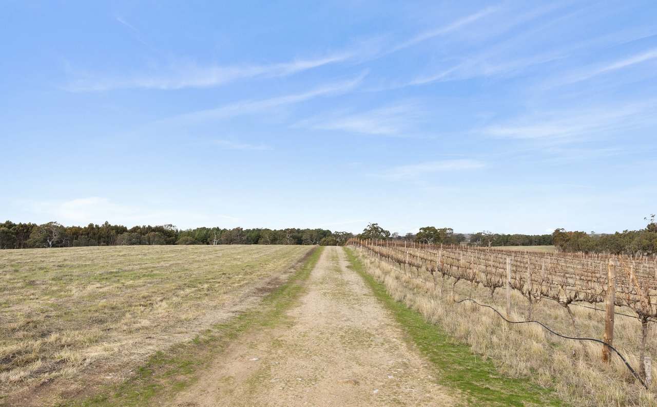 Lot 3 Keyneton Road, Eden Valley For Sale by Farmbuy.com - image 7