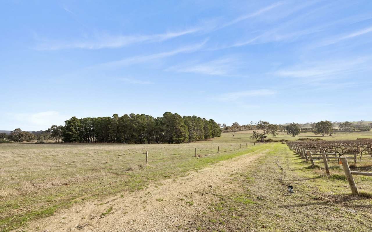 Lot 3 Keyneton Road, Eden Valley For Sale by Farmbuy.com - image 15
