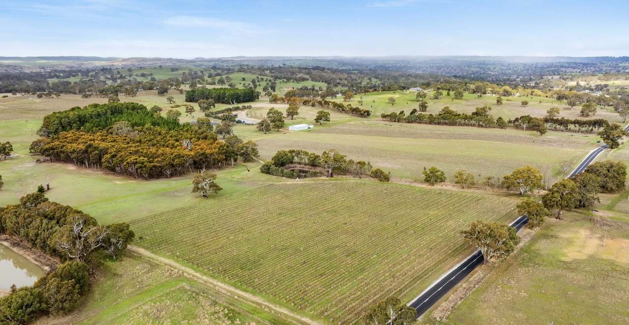 Lot 3 Keyneton Road, Eden Valley For Sale by Farmbuy.com - image 26