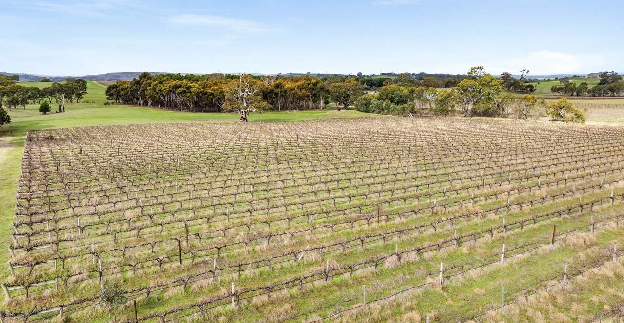 Lot 3 Keyneton Road, Eden Valley For Sale by Farmbuy.com - image 24