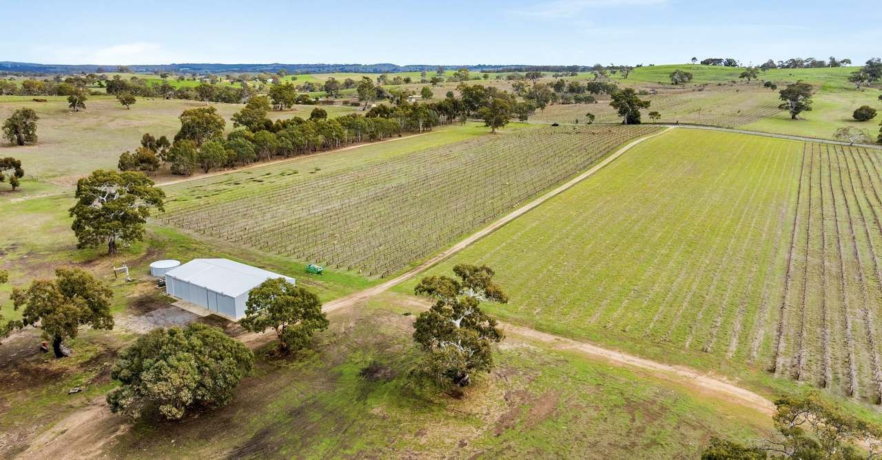 Lot 3 Keyneton Road, Eden Valley For Sale by Farmbuy.com - image 21