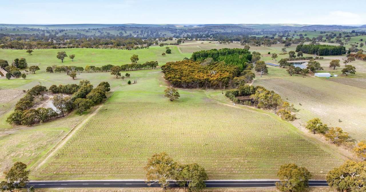 Lot 3 Keyneton Road, Eden Valley For Sale by Farmbuy.com - image 25