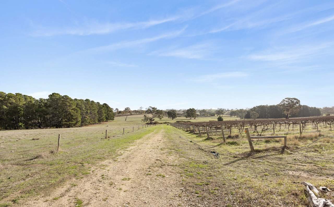 Lot 3 Keyneton Road, Eden Valley For Sale by Farmbuy.com - image 22