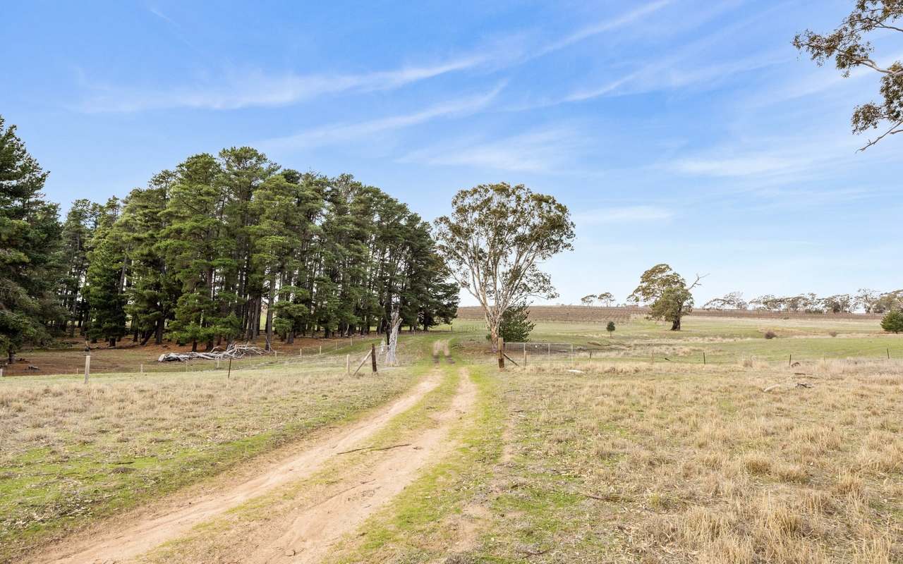 Lot 3 Keyneton Road, Eden Valley For Sale by Farmbuy.com - image 4