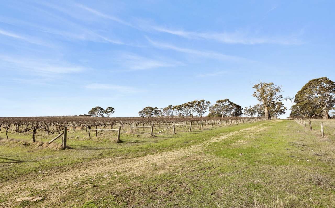 Lot 3 Keyneton Road, Eden Valley For Sale by Farmbuy.com - image 17