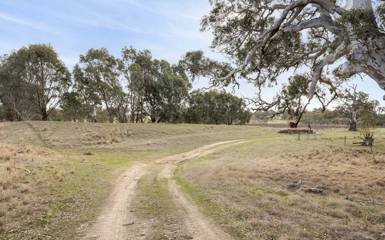Lot 3 Keyneton Road, Eden Valley For Sale by Farmbuy.com - image 32