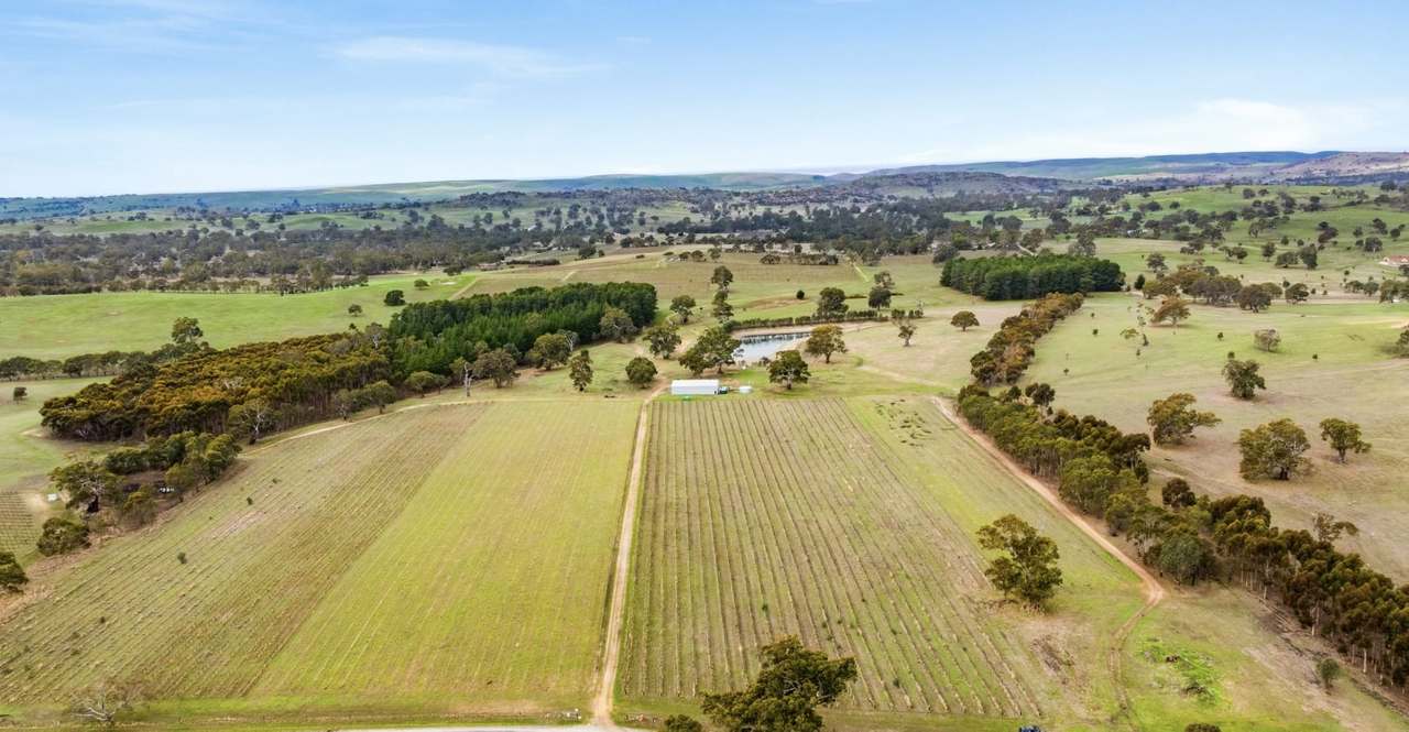 Lot 3 Keyneton Road, Eden Valley For Sale by Farmbuy.com - image 3