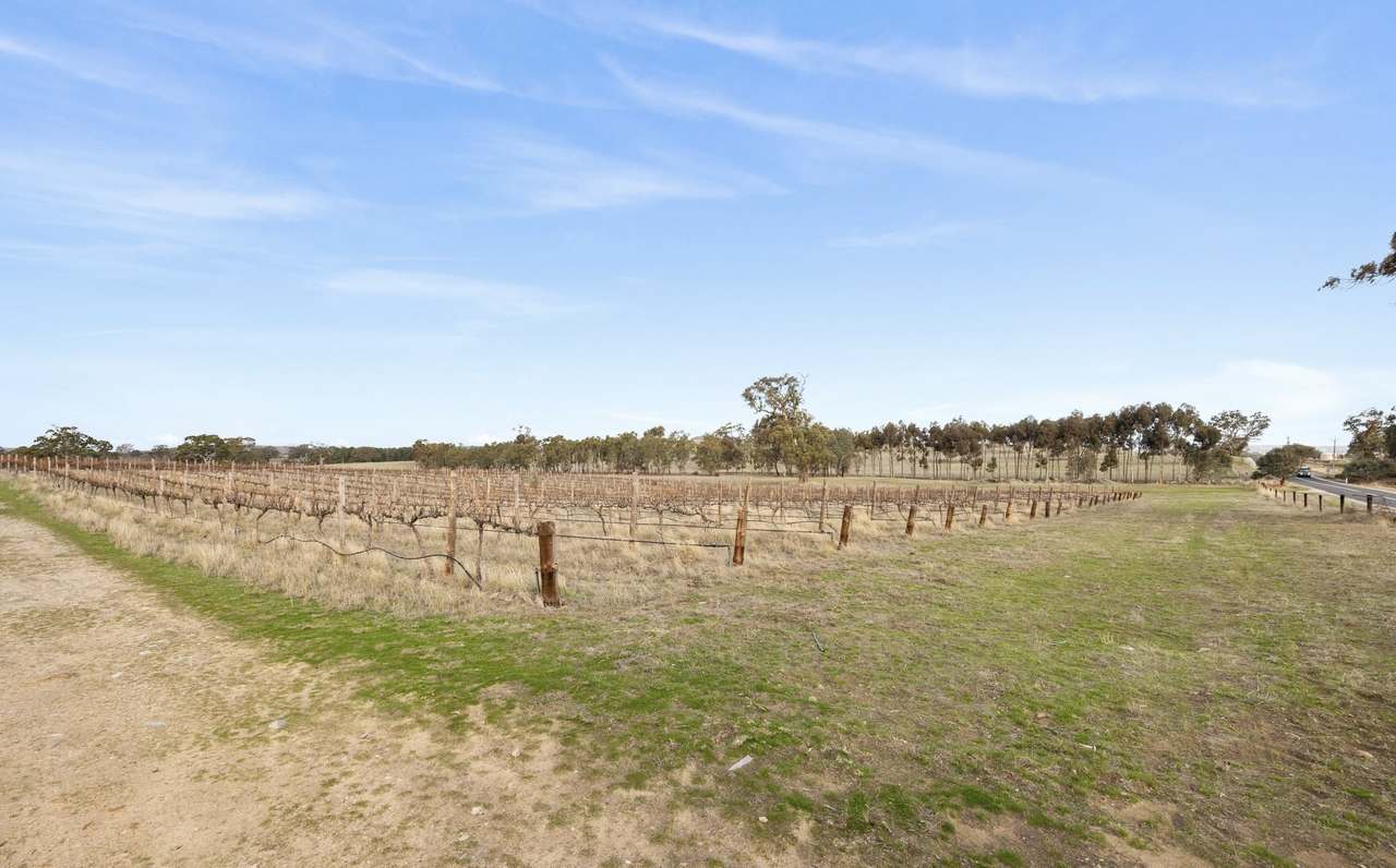 Lot 3 Keyneton Road, Eden Valley For Sale by Farmbuy.com - image 6