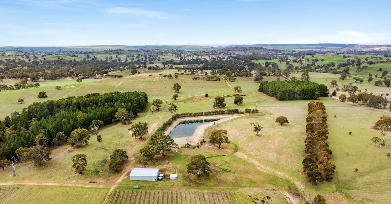 Lot 3 Keyneton Road, Eden Valley For Sale by Farmbuy.com - image 11