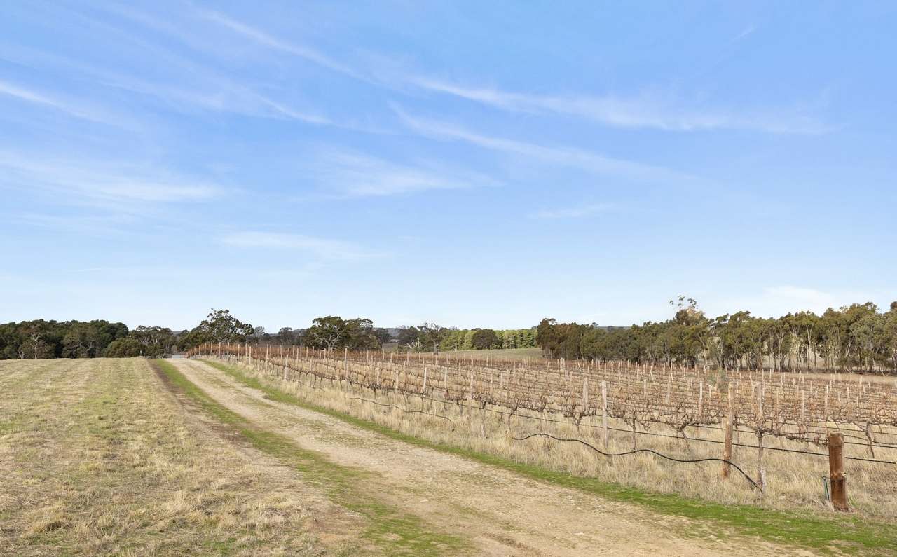 Lot 3 Keyneton Road, Eden Valley For Sale by Farmbuy.com - image 13