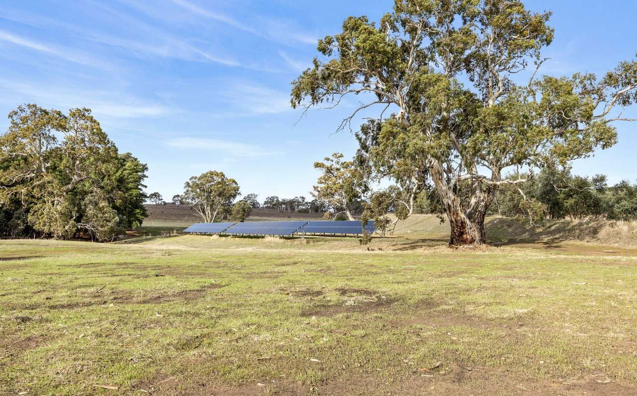 Lot 3 Keyneton Road, Eden Valley For Sale by Farmbuy.com - image 12