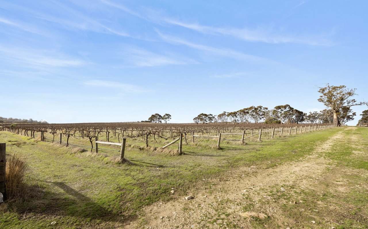 Lot 3 Keyneton Road, Eden Valley For Sale by Farmbuy.com - image 10