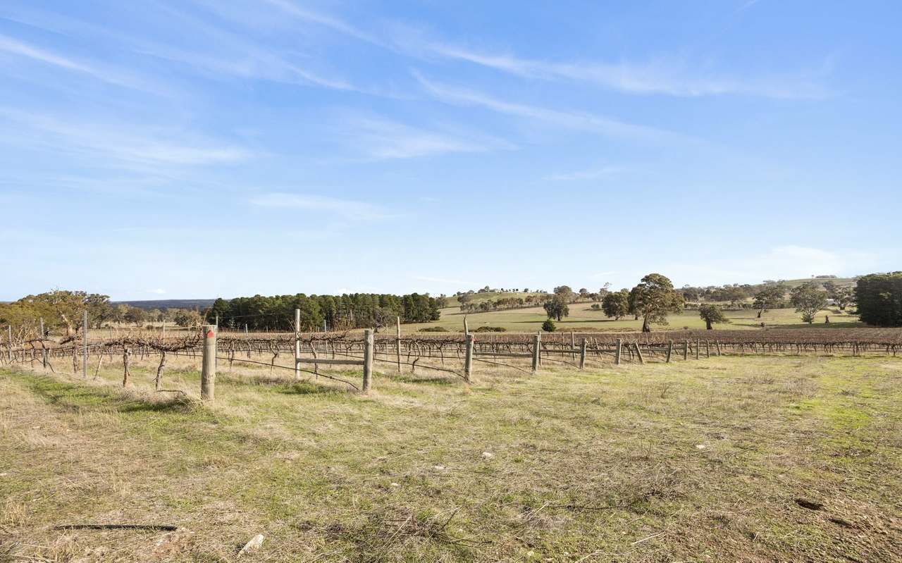 Lot 3 Keyneton Road, Eden Valley For Sale by Farmbuy.com - image 9